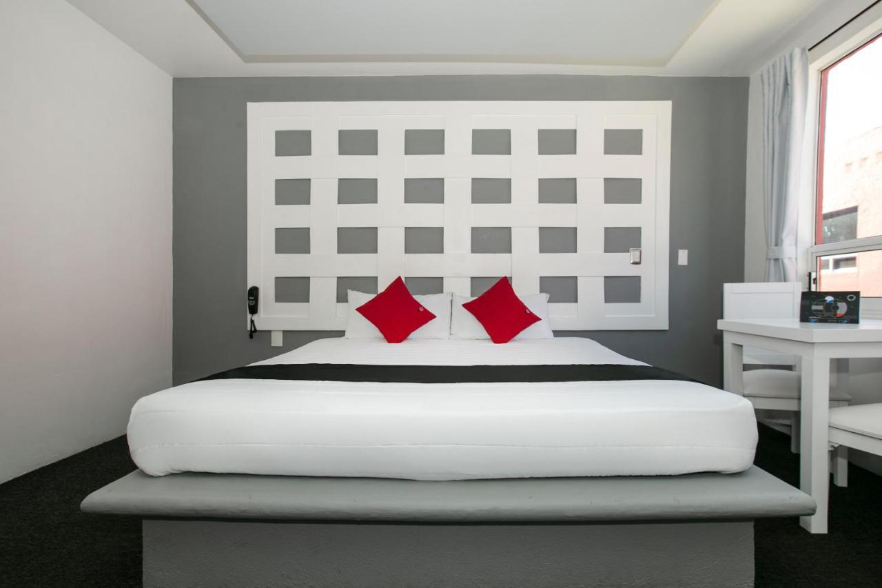 Hotel Euro Confort,Pachuca Exterior photo